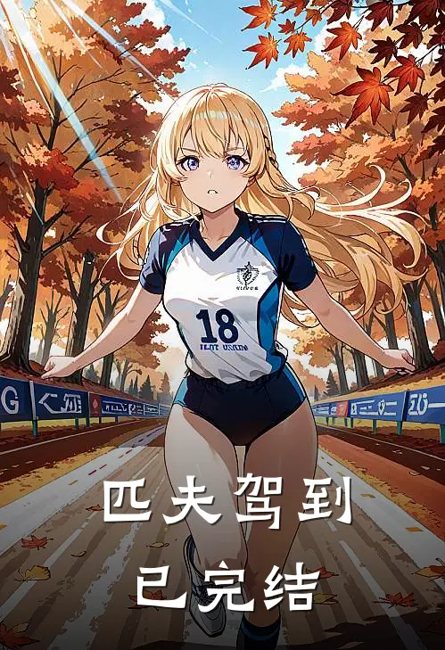 匹夫驾到已完结
