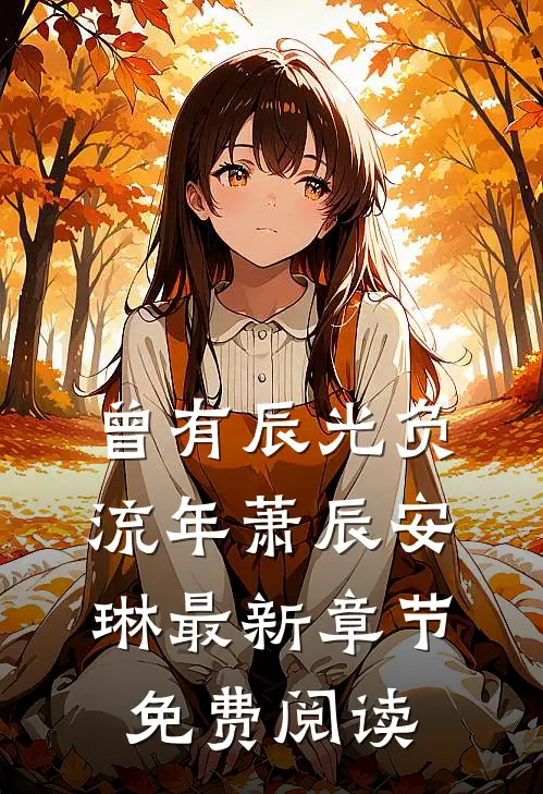 曾有辰光负流年萧辰安琳最新章节免费阅读