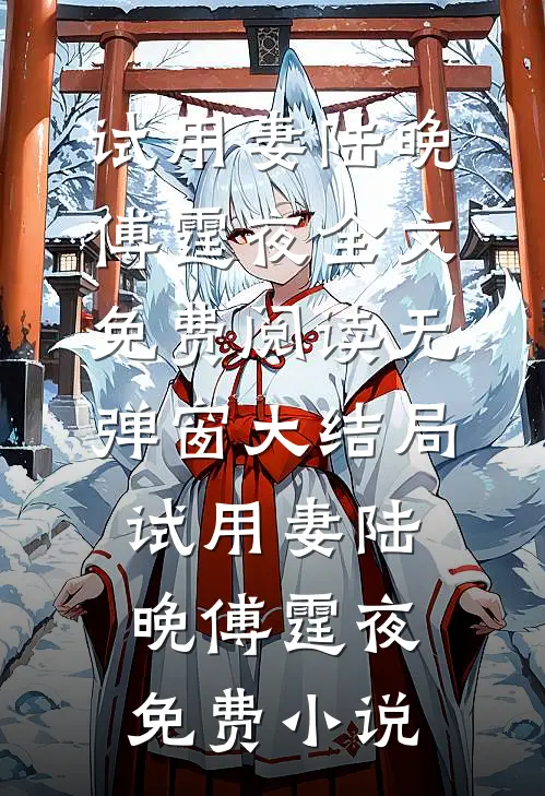 试用妻