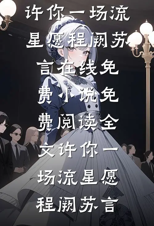 许你一场流星愿
