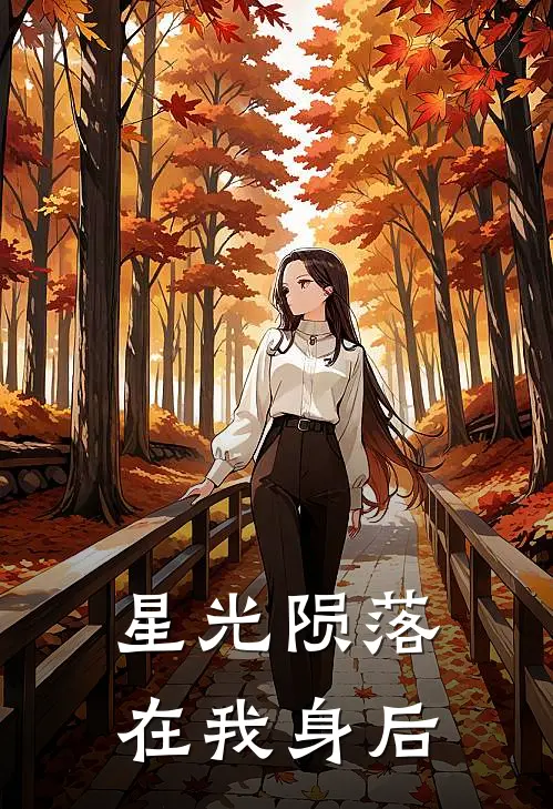 星光陨落在我身后