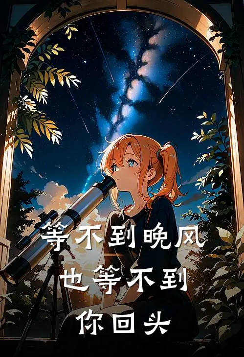 等不到晚风,也等不到你回头